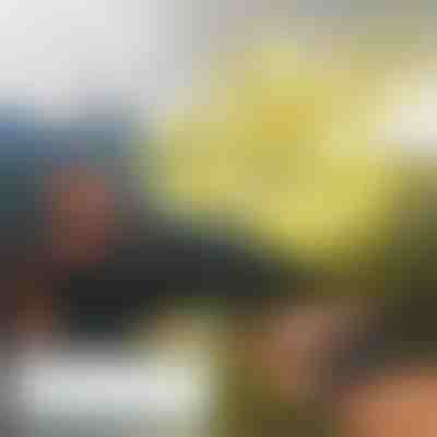 Minidrón con funcionamiento manual FLASH