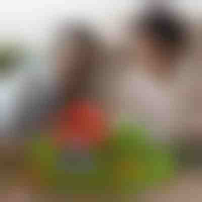 Cubos magnéticos minicraft (48 piezas) | MAGCRAFTI