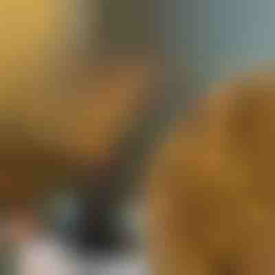 Luces de Ramas | BRANCHLUMOS