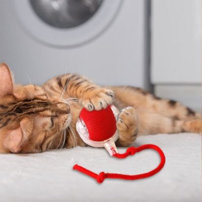 Juguete para mascotas que se mueve al tocarlo | GATOPLAY